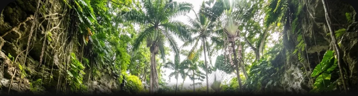 Jardim tropical dentro de uma cratera natural em Hunte's Gardens, Barbados